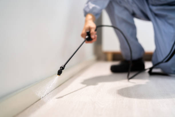 Licensed Pest Control service in Hugo, OK - Show Me Pest Control