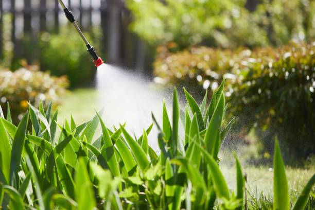 24/7 Emergency Mosquito Control experts in Hugo, OK