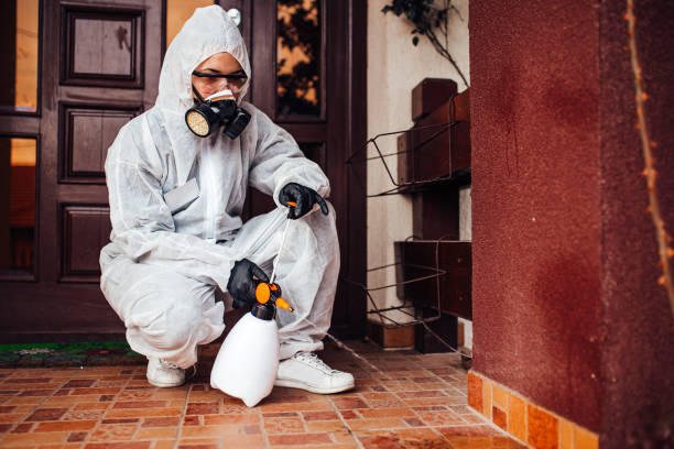 Reliable Mosquito Control contractor in Hugo, OK by Show Me Pest Control