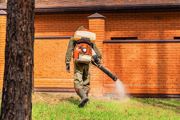 Top rated local Mosquito Control specialists in Hugo, OK